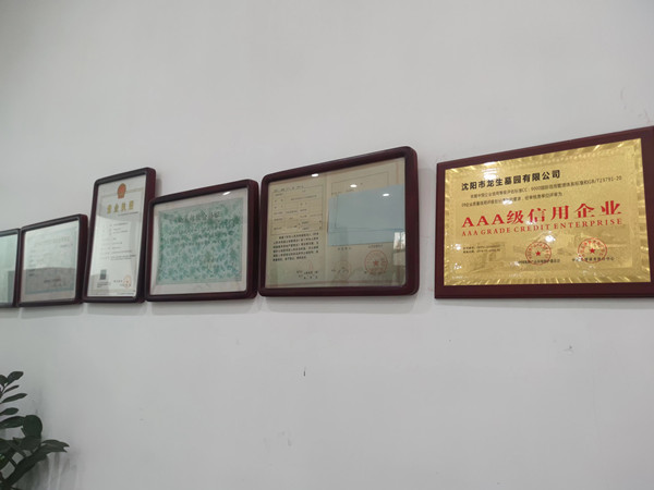 ��������Ĺ԰����ǽ